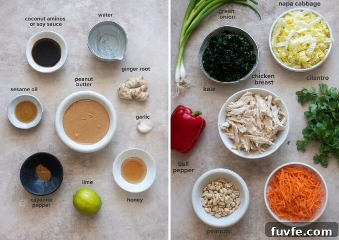 Thai chicken salad with peanut dressing recipe ingredients.