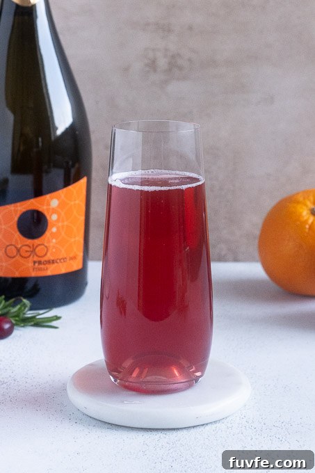 Poinsettia Cocktail Recipe: Cranberry Champagne Holiday Drink 7 Christmas champagne cocktail ready for garnishes.