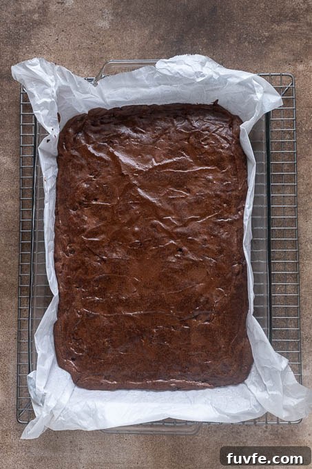 Baked cocoa brownies in baking dish on wire rack.