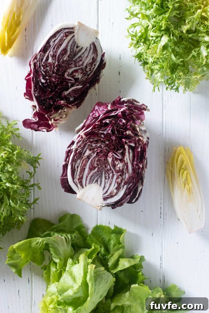 Chicories