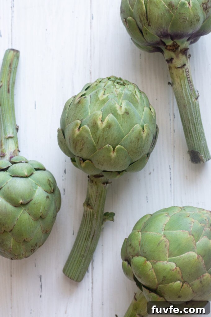 How to Prepare Artichokes for Cooking 2 Fresh artichokes before prepping.
