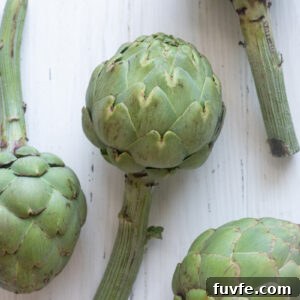 How to Prepare Artichokes for Cooking 11 Fresh artichokes before prepping.