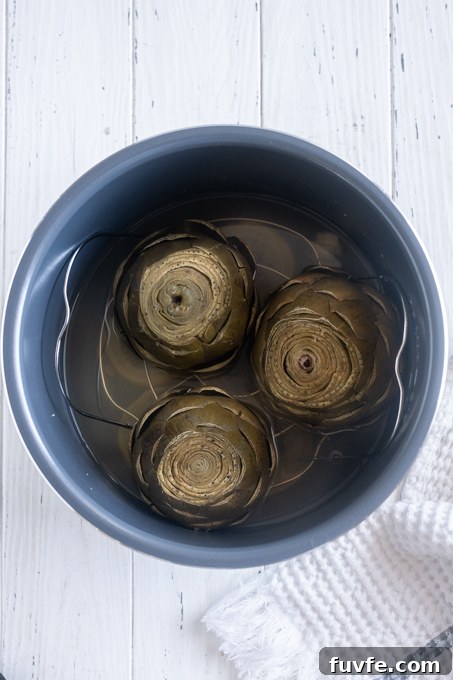 How to Cook Tender Instant Pot Artichokes 10 Steamed artichokes in Instant Pot.