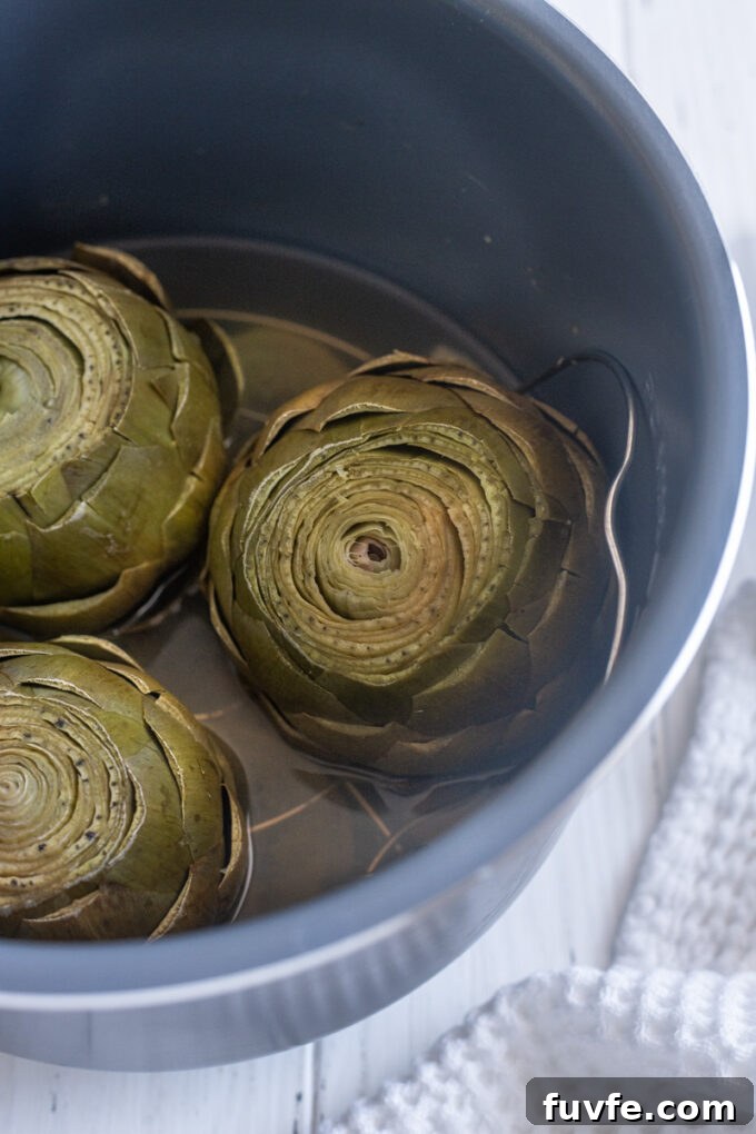 How to Cook Tender Instant Pot Artichokes 14 Whole steamed artichokes cooked in the Instant Pot.