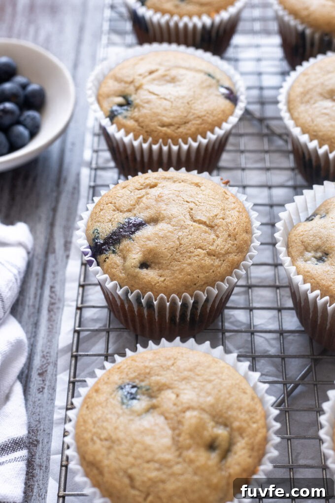 Blueberry Oat Flour Muffins on a wire rack.