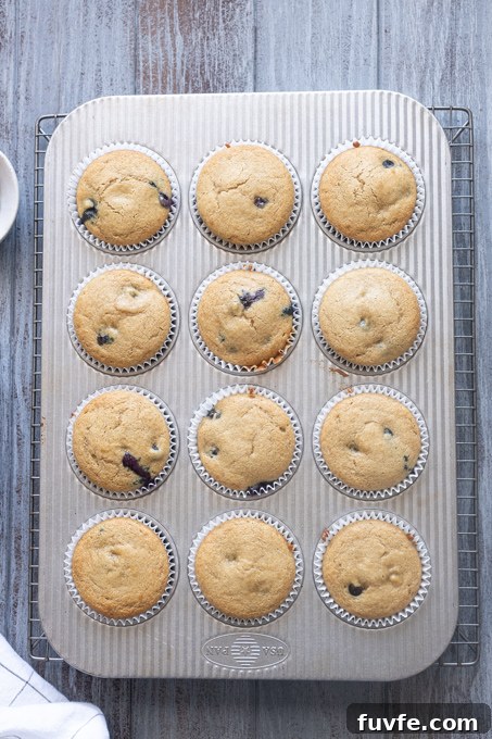 Blueberry muffins with oat flour baked in muffin pan.