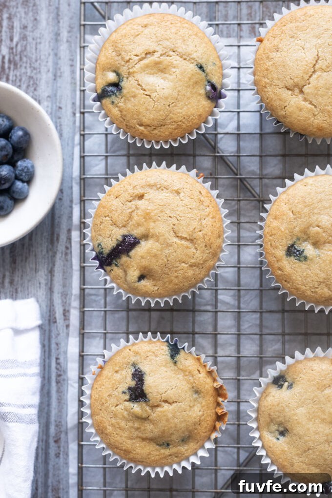 Oat flour muffins with blueberries on a wire rack.