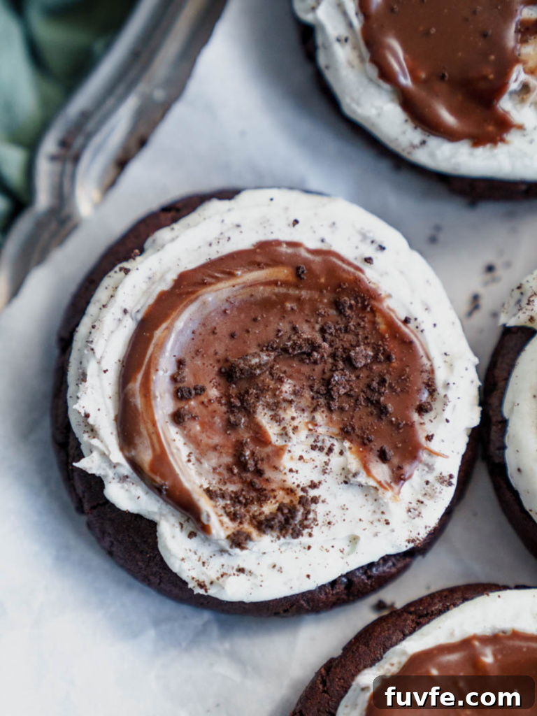 Frosted Grasshopper Cookies: Mint Chocolate Cookie Recipe 2 Frosted Grasshopper Cookies