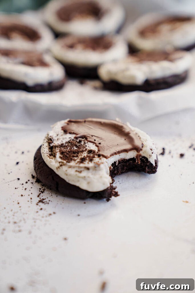 Frosted Grasshopper Cookies: Mint Chocolate Cookie Recipe 4 img 7510 3