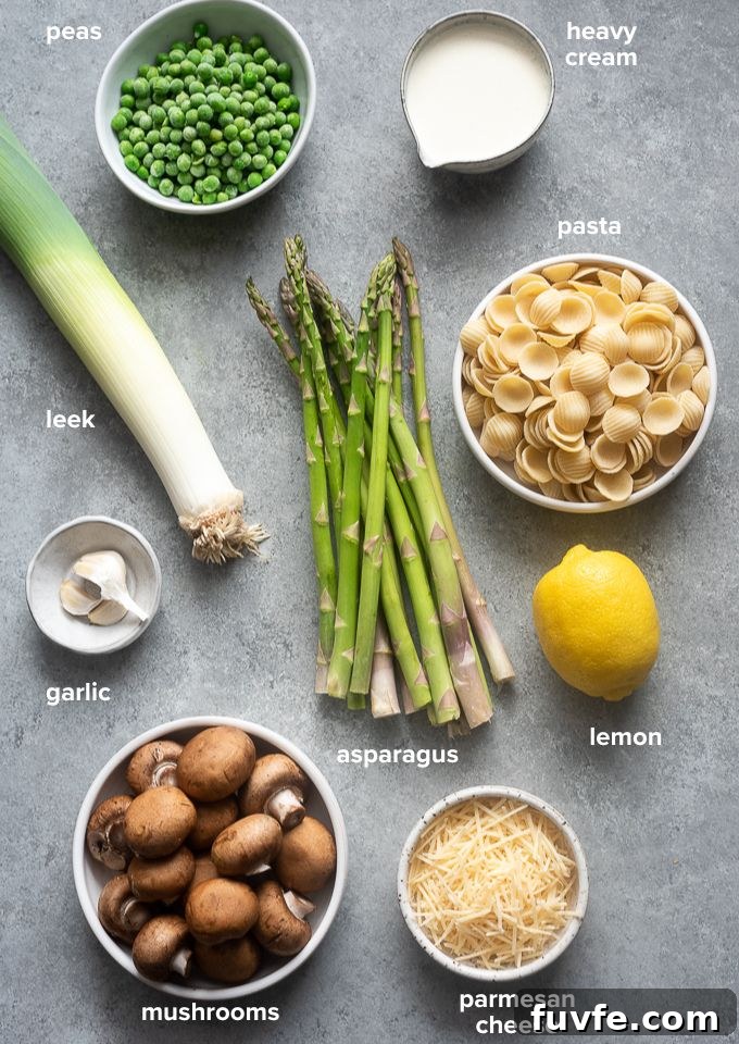 One-Pot Spring Primavera Pasta 3 Spring vegetable pasta recipe ingredients.