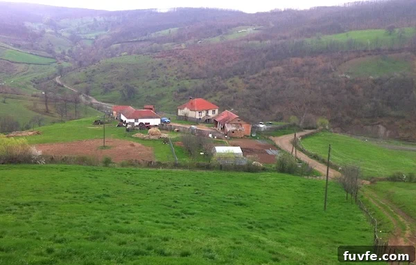 What Kosovo Gardens Teach About Community and Resilience 3 2013Kosovo Farmhouse