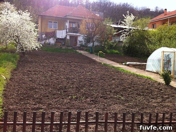 What Kosovo Gardens Teach About Community and Resilience 4 kamenica front yard:garden