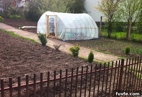 What Kosovo Gardens Teach About Community and Resilience 5 kamenica greenhouse