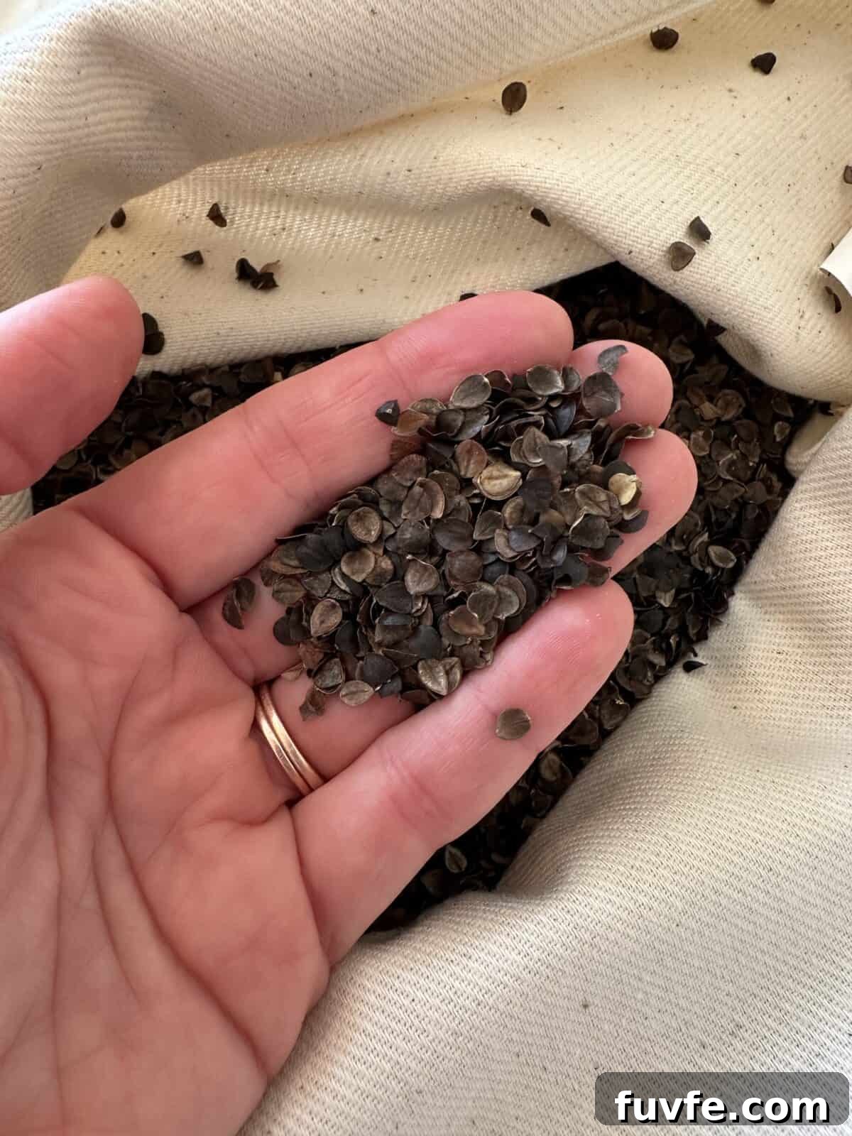 Top Non-Toxic Pregnancy and Organic Nursing Pillows for Moms 8 A hand holds a handful of dark buckwheat hulls above a white, textured fabric bag filled with the same material.