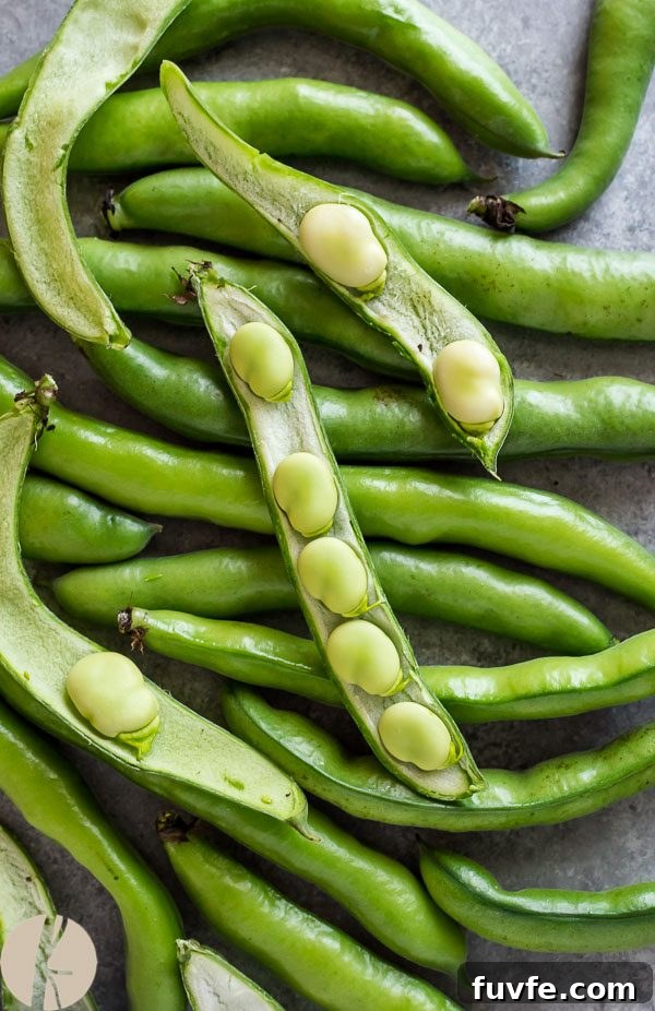 Fava beans piled up with top ones cut in half