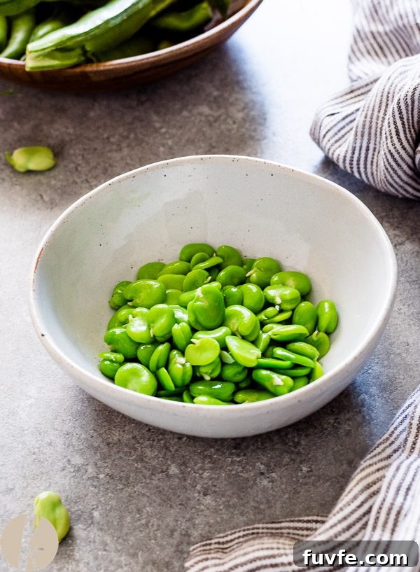 Overhead shot of cooked fava beans in a white bowl