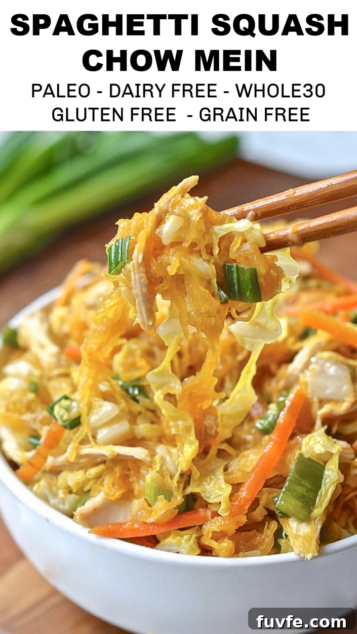 Spaghetti Squash Chow Mein 