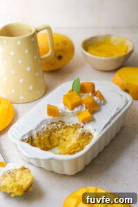 Mango Milk Cake Recipe: Creamy No-Bake Mango Dessert 2 img 8737 1