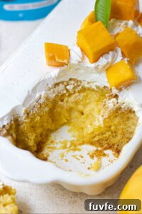 Mango Milk Cake Recipe: Creamy No-Bake Mango Dessert 4 img 8737 3