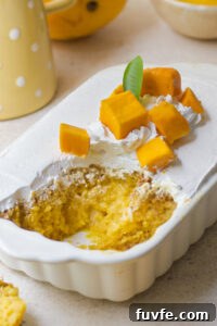 Mango Milk Cake Recipe: Creamy No-Bake Mango Dessert 5 img 8737 4