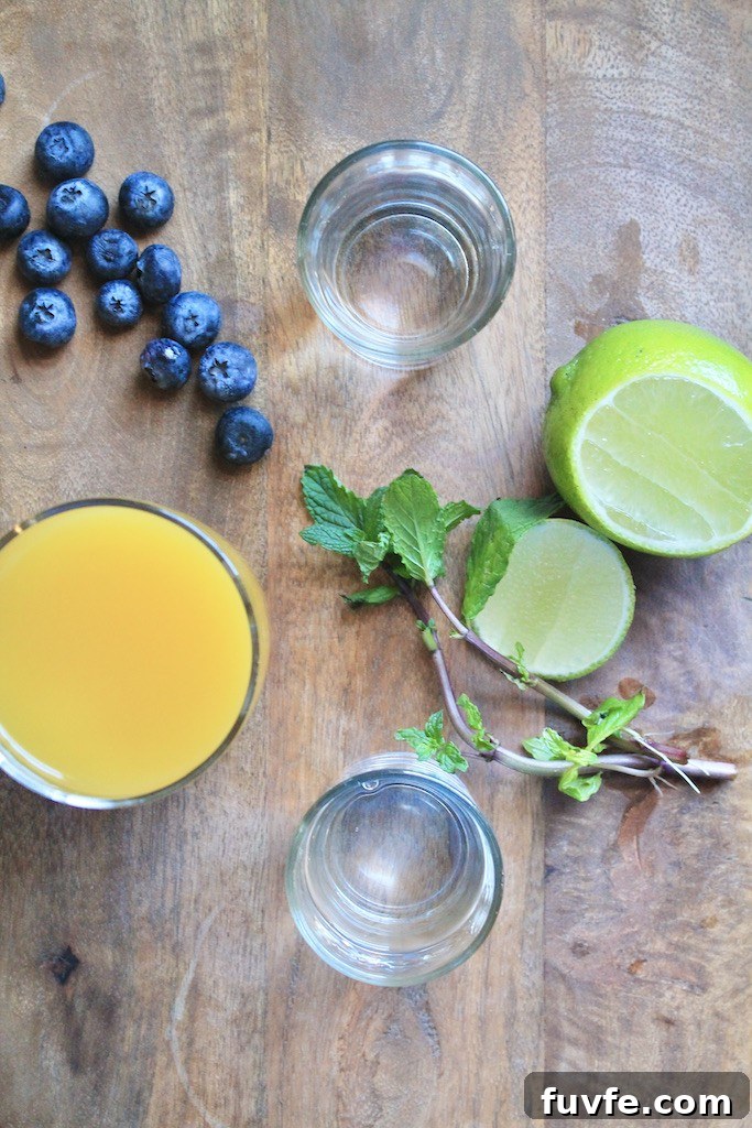 mango blueberry gin fizz glass
