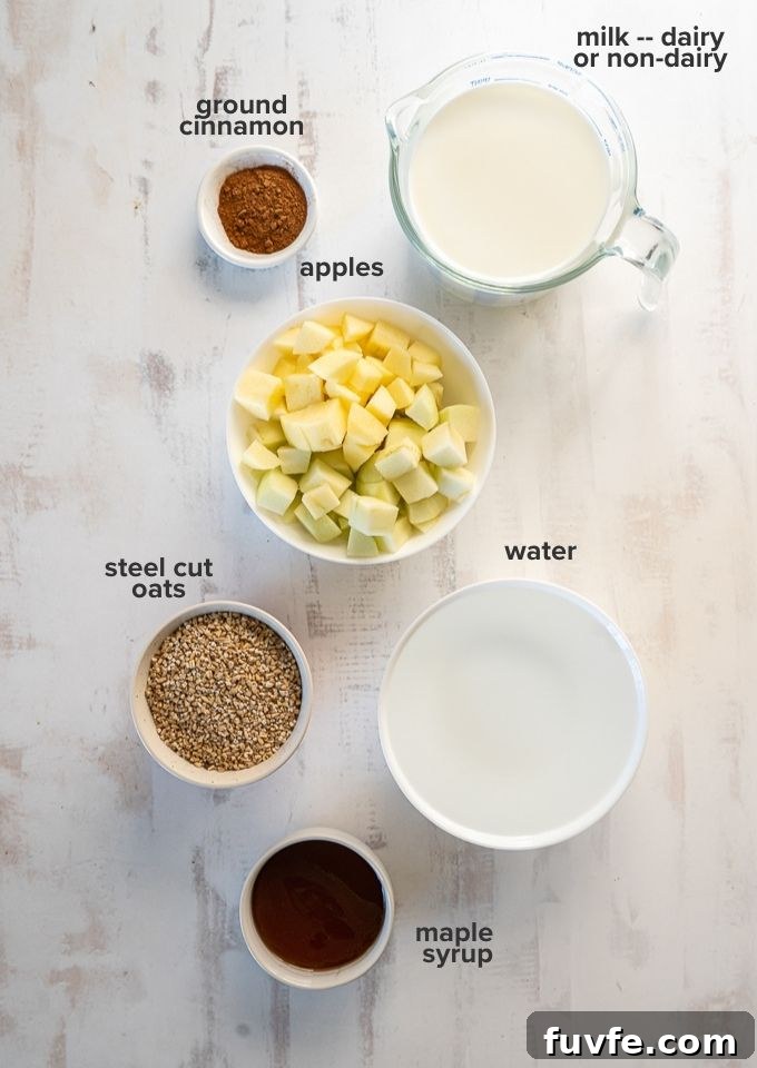 Crockpot Apple Steel-Cut Oats Recipe 4 Slow cooker steel cut oats ingredients