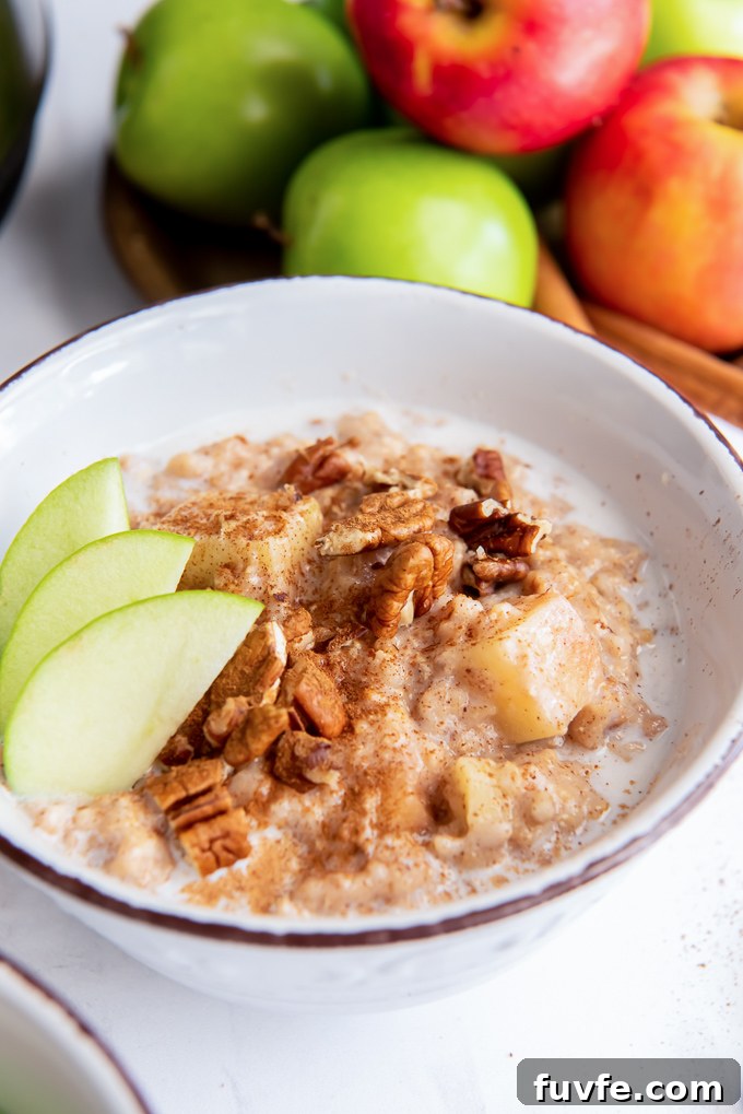 Apple slow cooker steel cut oats in a bowl with sliced apples