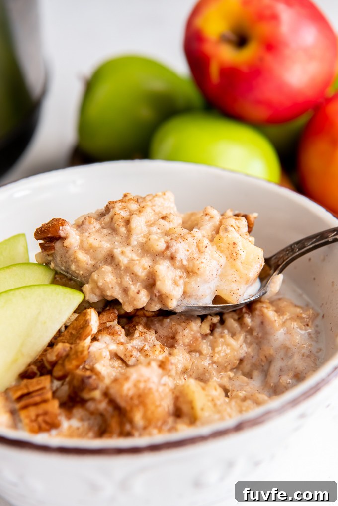 Spoonful of slow cooker steel oats resting in a bowl