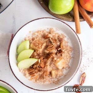 Crockpot Apple Steel-Cut Oats Recipe 7 Crockpot steel cut oats in a bowl