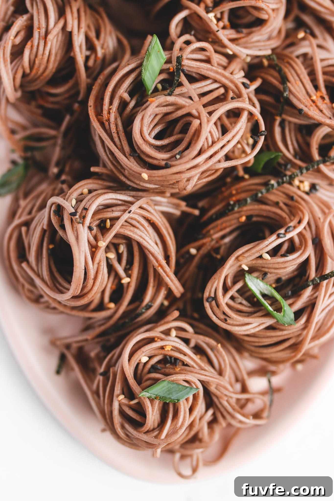 Vegan Zaru Soba Veggiekins