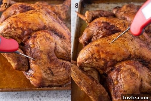 How to take the temperature of a turkey collage
