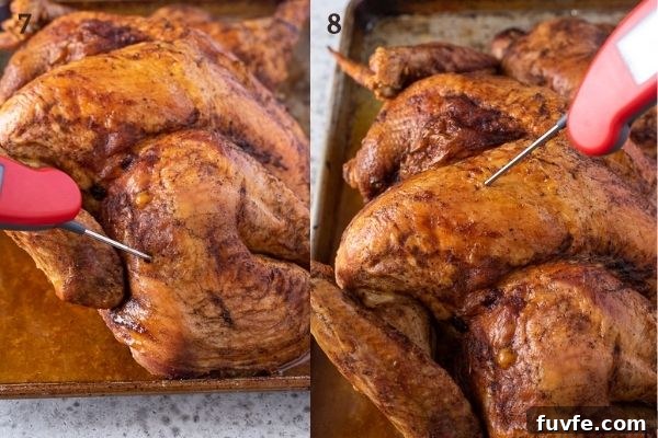 How to take the temperature of a turkey collage