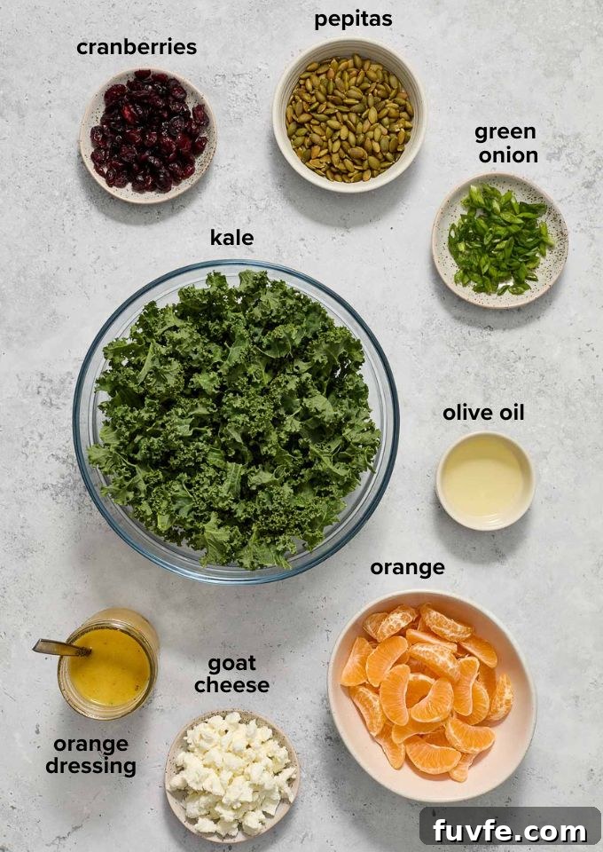 Kale and Orange Salad with Citrus Vinaigrette Recipe 4 Kale orange salad ingredients.