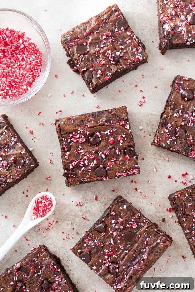 Fudgy Peppermint Brownies Recipe 2 Peppermint brownies with peppermint crunchy scattered around