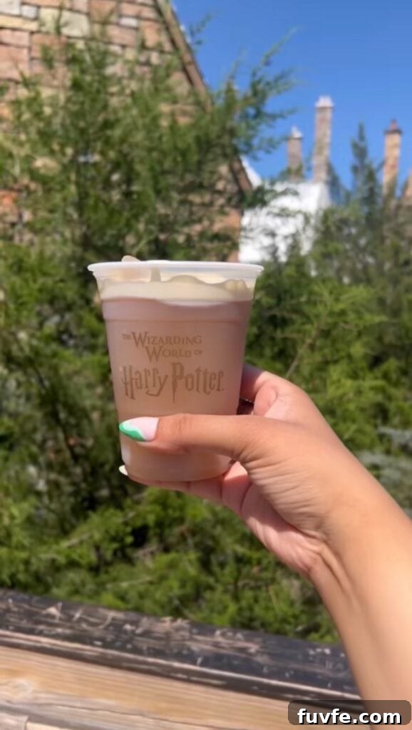 How to Make Butterbeer at Home: Harry Potter Recipe Tutorial 3 hand holding the butterbeer at Universal Studios