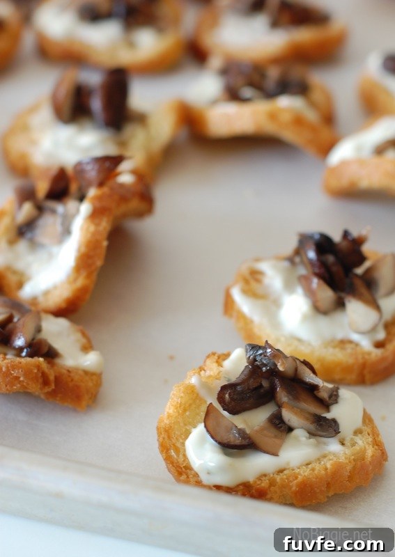 Savory Blue Cheese and Mushroom Crostini Recipe 3 blue cheese mushroom crostini | NoBiggie.net