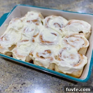 Cinnamon Roll Dough Recipe for Soft, Fluffy Rolls 2 Cinnamon rolls